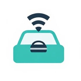 alternative to a taxi